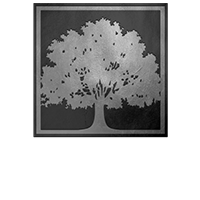 Oak Health Fitness Oak Health Fitness